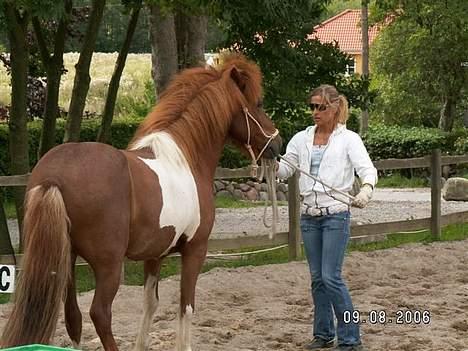 Islænder skjöldur R.I.P :(  billede 5