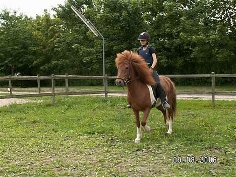 Islænder skjöldur R.I.P :(  billede 8