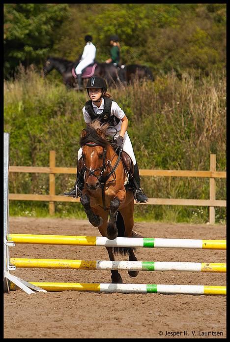Anden særlig race Cheik Sherry solgt :'( - Her er vi til ØresundsCuppen i Spring på FHSR d. 27.8.2006. Vi springer LC, og fejlfrit. billede 12