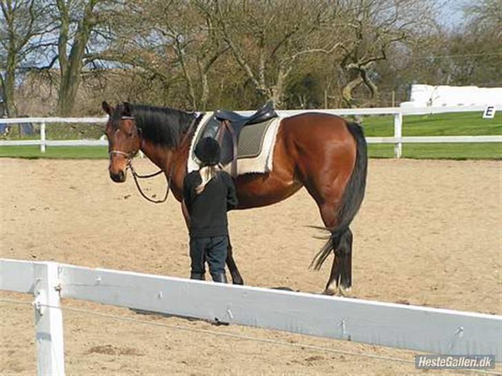 Fuldblod (XX) Why Me - R.I.P <3 - jeg elsker dig (´:  billede 7