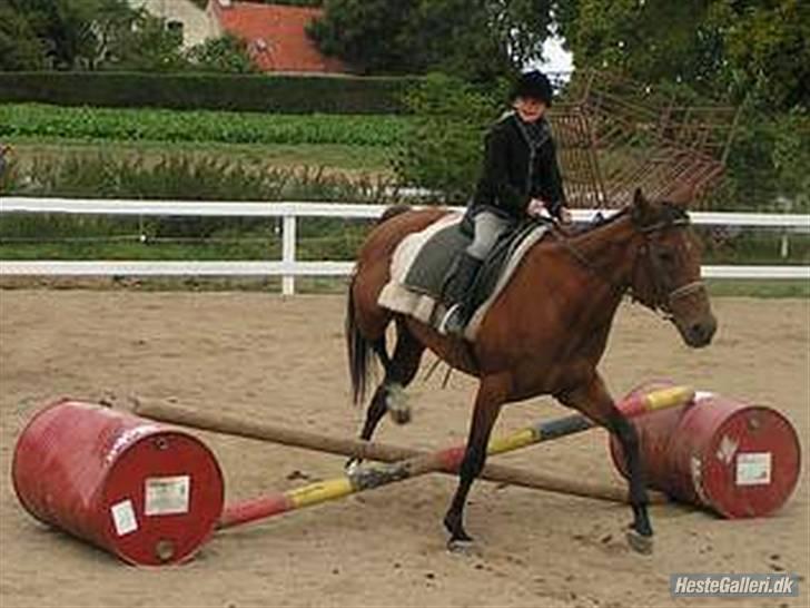 Fuldblod (XX) Why Me - R.I.P <3 - En af de første gange jeg red dig. (´: billede 8