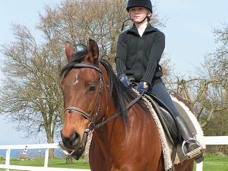 Fuldblod (XX) Why Me - R.I.P <3 - Du var mit et og alt. Min bedsteven. $:  billede 9