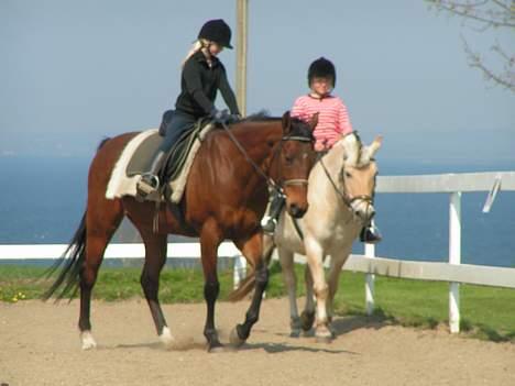 Fuldblod (XX) Why Me - R.I.P <3 - Undervisning.  billede 10