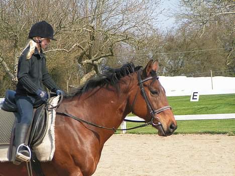 Fuldblod (XX) Why Me - R.I.P <3 billede 12