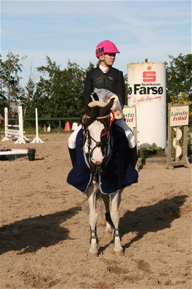 Pinto Miss coco Chanell - til præmieoverrakelse :D <3 billede 14