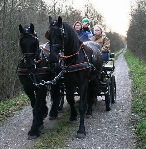 Frieser Jelle - Første gang jeg selv kører dem - det gik fint og var bare sjovrt billede 19
