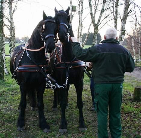 Frieser Jelle - Hjemme igen efter - efter en dejlig tur billede 20