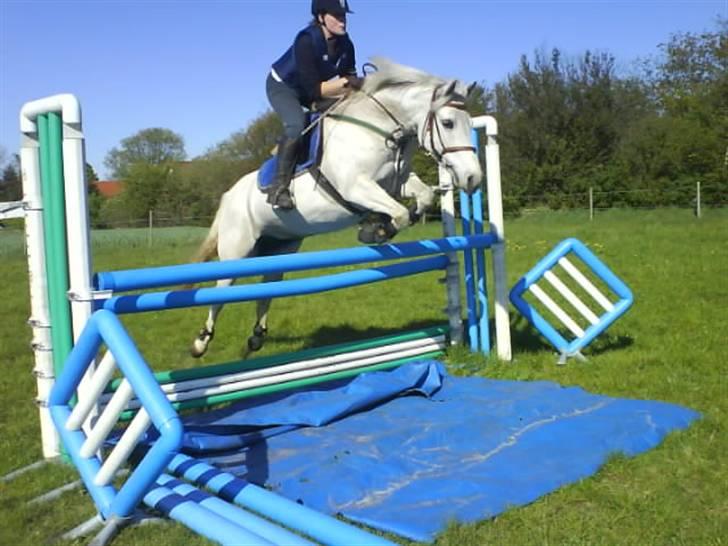 Connemara Hesselholts Joy  - Velkommen til Joys profil :) <3 billede 1