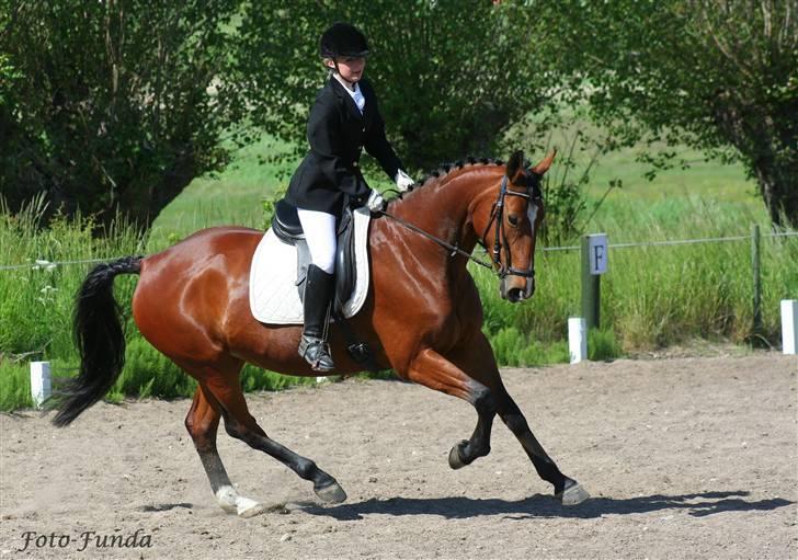 Oldenborg Fie <33 † - Galop <3 billede 15