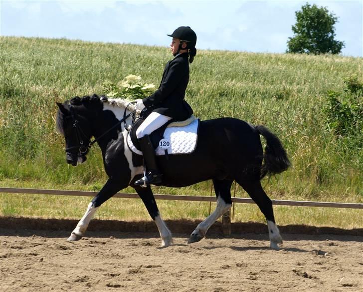 Anden særlig race Sello - Sello og Ida i LB1 vinder af klassen med 62,5% :D de var så SEJE :D 21/6-08 billede 2