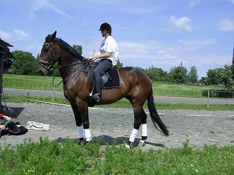 Traver Andy Bakholdt -død-  - Mille og Andy billede 2