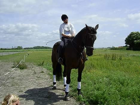 Traver Andy Bakholdt -død-  - Mille og Andy billede 3