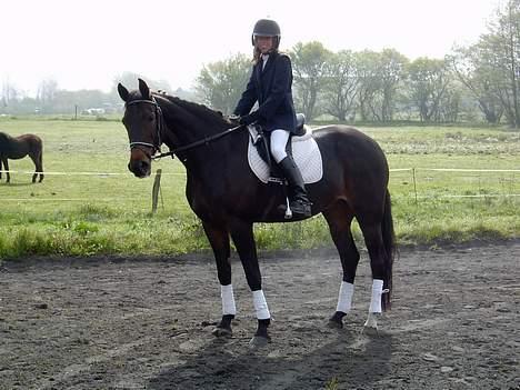 Traver Amanda (L)  billede 1