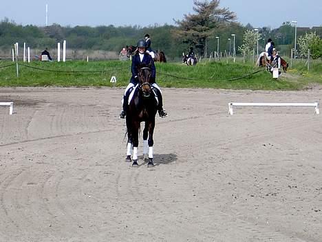 Traver Amanda (L)  billede 2