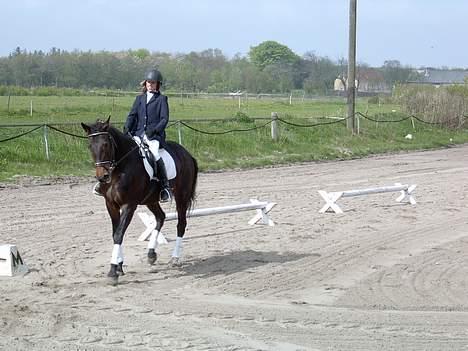 Traver Amanda (L)  billede 4