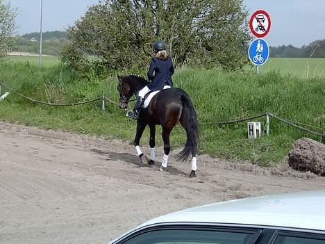 Traver Amanda (L)  billede 5