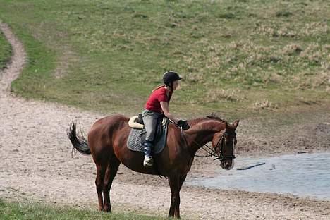 Oldenborg Libra -R.I.P 19/10-09 - stadig i dyrehaven billede 5