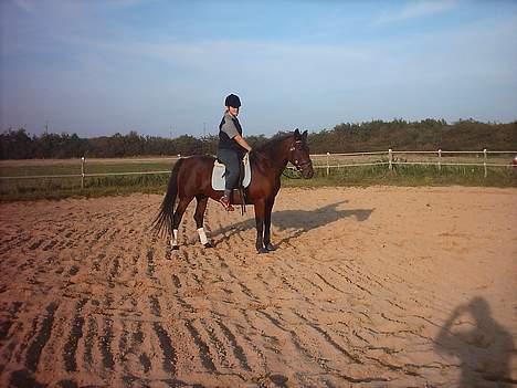 Traver label    R.I.P billede 13