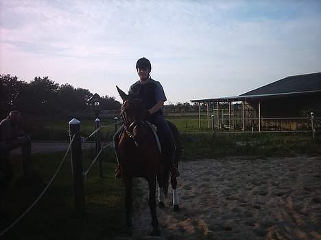 Traver label    R.I.P billede 14