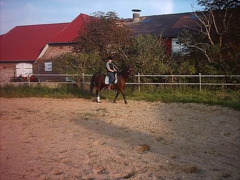 Traver label    R.I.P billede 15