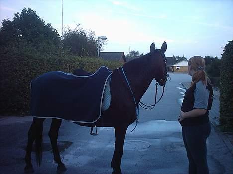 Traver label    R.I.P billede 16