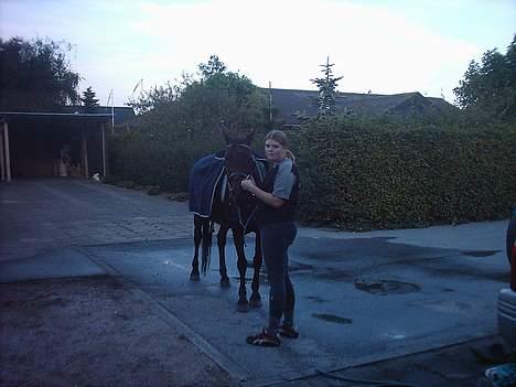 Traver label    R.I.P billede 17