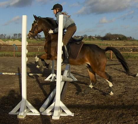 Anden særlig race Sharon (solgt) - Jubii, et lille spring (: Efterår 2006. Mig og Sharon . billede 15