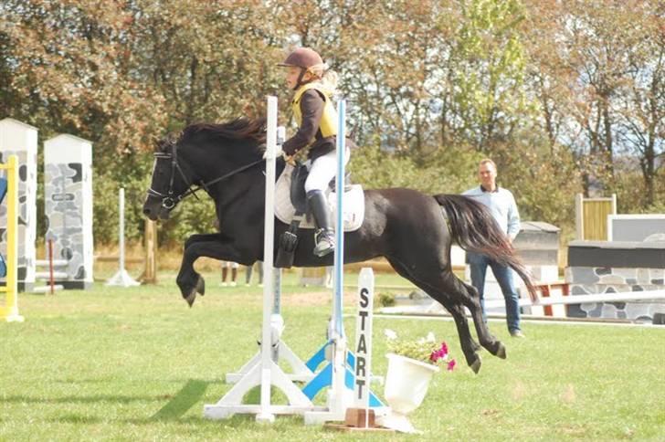 Welsh Mountain (sec A) Dorthealyst Rachel *solgt* - Min lillesøster Liva og Rachel til klubmesterskabet billede 9
