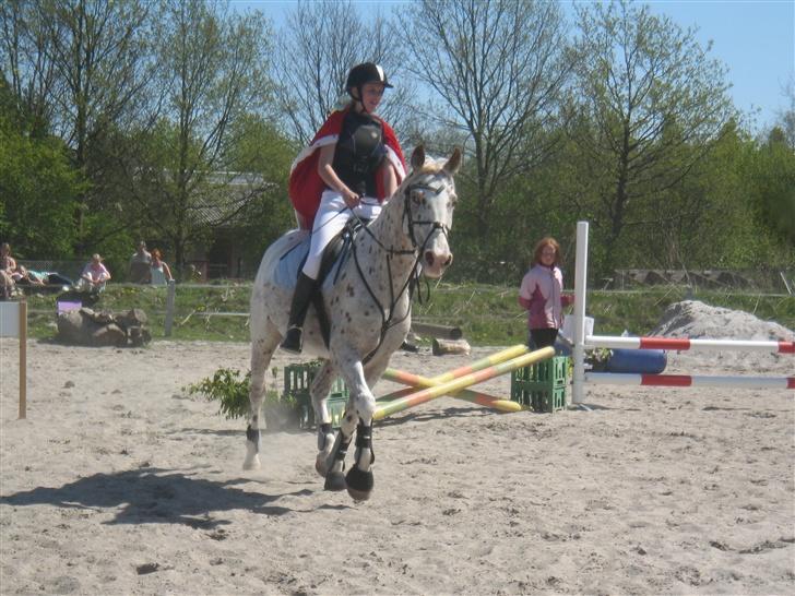 Appaloosa Spotlight / red / - til springstævnet det er joker klasse  og vi vandt en 3*plads billede 1