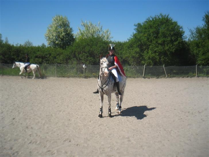 Appaloosa Spotlight / red / - er vi ikk fine <33 billede 2