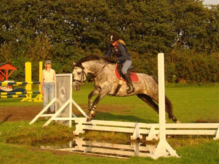 DSP West Side Sweet Babati  - Babati og jeg springer stor vandgrav billede 2