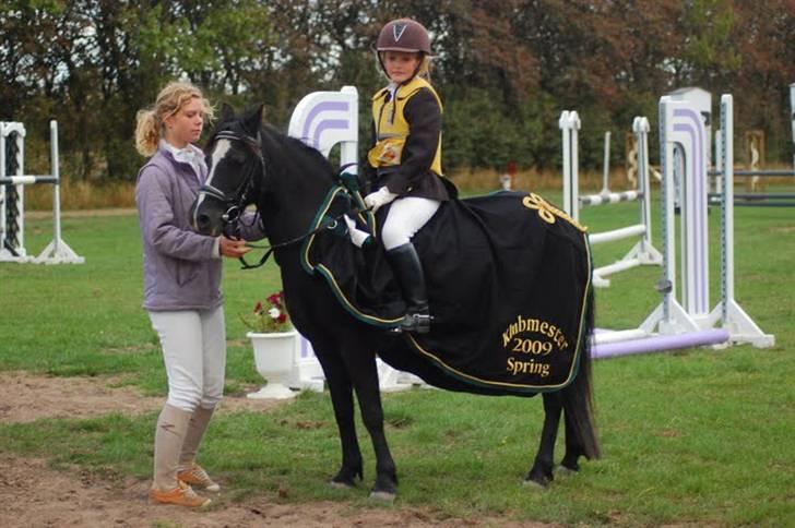 Welsh Mountain (sec A) Dorthealyst Rachel *solgt* - Liva og Rachel til klubmesterskabet :) De blev klubmestre billede 14