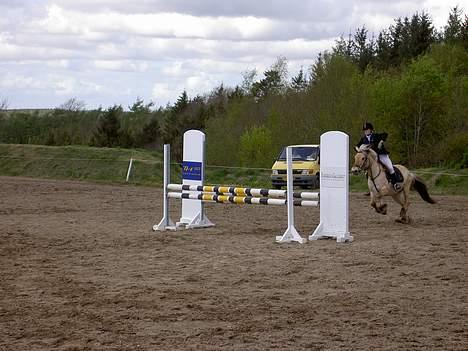 Fjordhest Heidi Træholt - Det sidste spring i DM finale, omspringning 2005.. Det ser nu noget sjovt ud med mig, men over kom vi, og vandt DM sølv, ved vores første DM :D Heidi var bare fantastisk!  billede 8