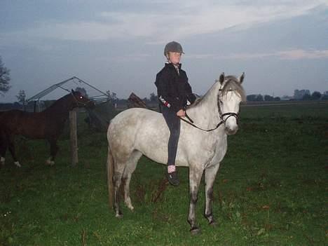 Connemara Elmely's Isabella billede 12