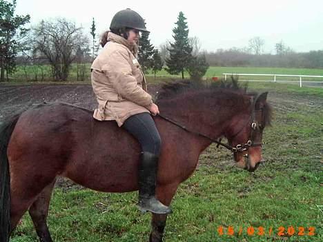 Anden særlig race Lotte R.I.P - min lillesøster og lotte . sidste gang jeq så hende og red hende billede 2