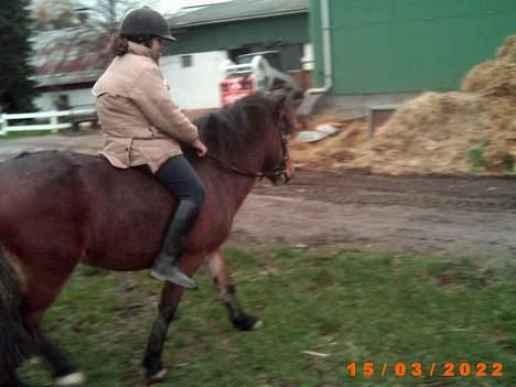 Anden særlig race Lotte R.I.P - igen :) billede 3
