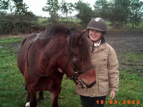 Anden særlig race Lotte R.I.P - sofia og lotte, sammen igen  :) billede 5