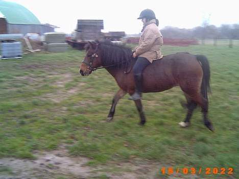 Anden særlig race Lotte R.I.P - dejligt de sammen igen :,-) billede 8