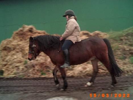 Anden særlig race Lotte R.I.P - hun var bare så dejlig, har savnet diig lotte! billede 9