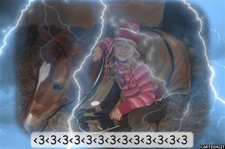 Anden særlig race Donna (SOLGT) ;( - Profil (: billede 11