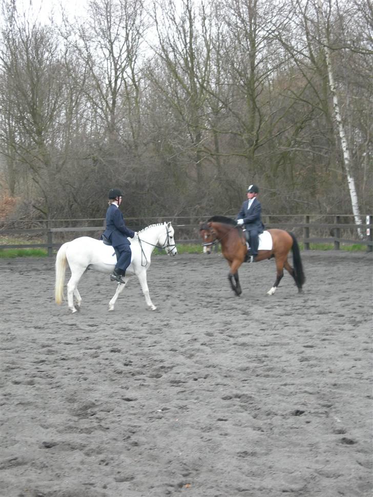 Anden særlig race Thestrupgaardens Kashmir Rex - KASHMIR OG SNØVS, men deres over seje james bond rytter, vi vandt show klassen med 70% smil:O) billede 10