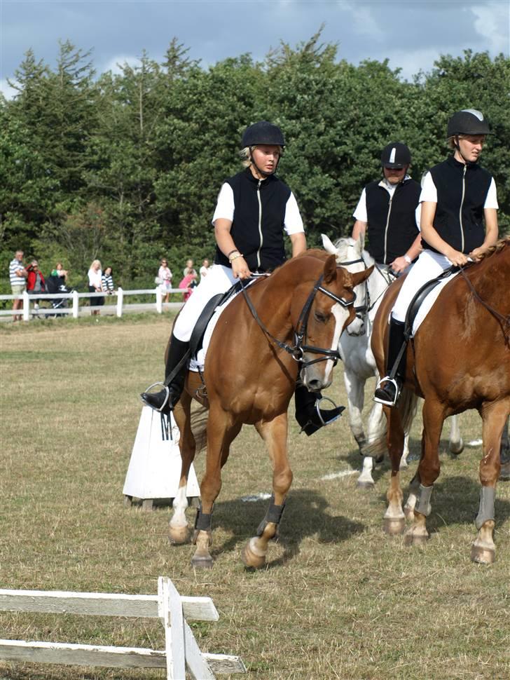 Anden særlig race Merci Dé Royale SOLGT  - . igen <3´foto: Annesofie Lomholt  billede 3