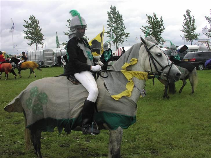DSP Snorgårdens Molly Malone  - Til vores første opvisning.. til Landsstævne i Herning <3 2004 billede 8