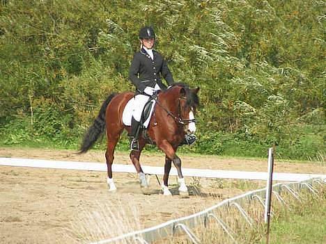 DSP Bæklunds Laredo (SOLGT) -  N0rdthy. billede 17