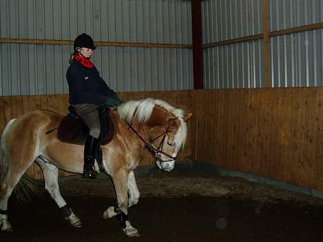 Anden særlig race Zafir - vi tager lige lidt trav<3 billede 3