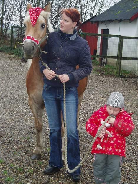 Haflinger Eizhia - min niece og jeg holder eizhia, min niece har hjulpet med at strigle eizhia så hun blev RIGTIG flot :) billede 16