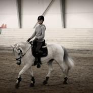 Anden særlig race Hovmarkens Lollipop R.I.P 11.12.13