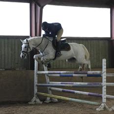 DSP Nørlunds Sally Maree