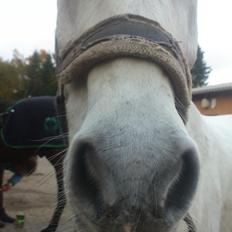 Connemara Flash Point