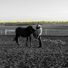 Anden særlig race Blisser